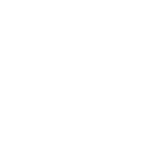 Fone Active