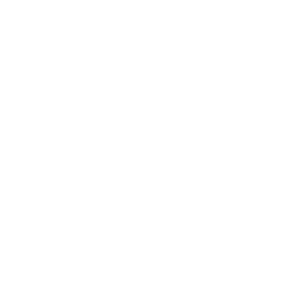 PalmSafe