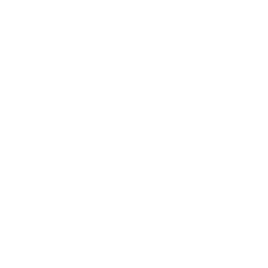 Phone Clinic